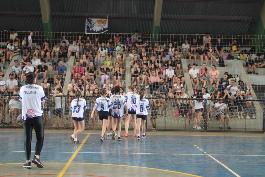 12º F.E.F. - Festival Esportivo Flapi. Vejam as fotos!