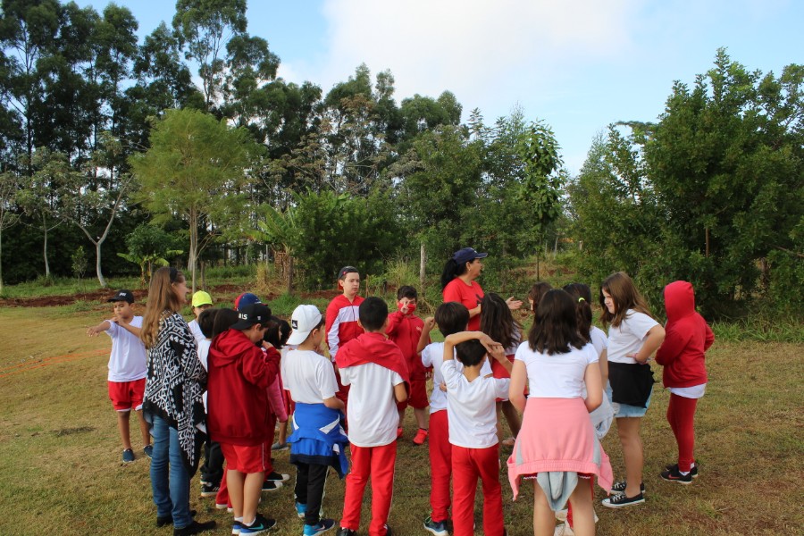 3º ano coordenada pela técnica agrícola Sandra, fez o manejo da bananeira da agrofloresta